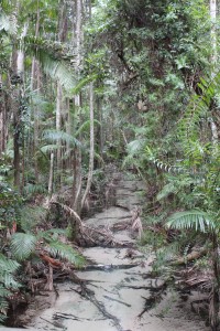Fraser Island-086